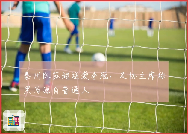 泰州队苏超逆袭夺冠，足协主席称黑马源自普通人